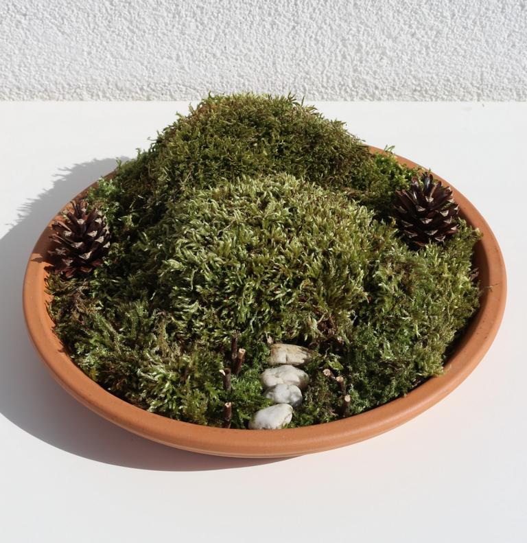 Hobbit Miniaturgarten mit Dekoration aus Fimo selber machen: ein echter Hingucker für Garten und Balkon