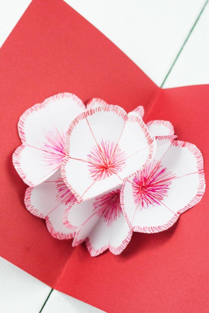 3D Pop Up Blumenkarte basteln - schönes DIY Geschenk aus Papier