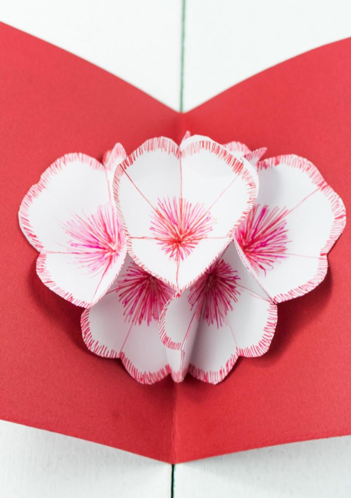 3D Pop Up Blumenkarte basteln - schönes DIY Geschenk aus Papier - Muttertag, Valentinstag