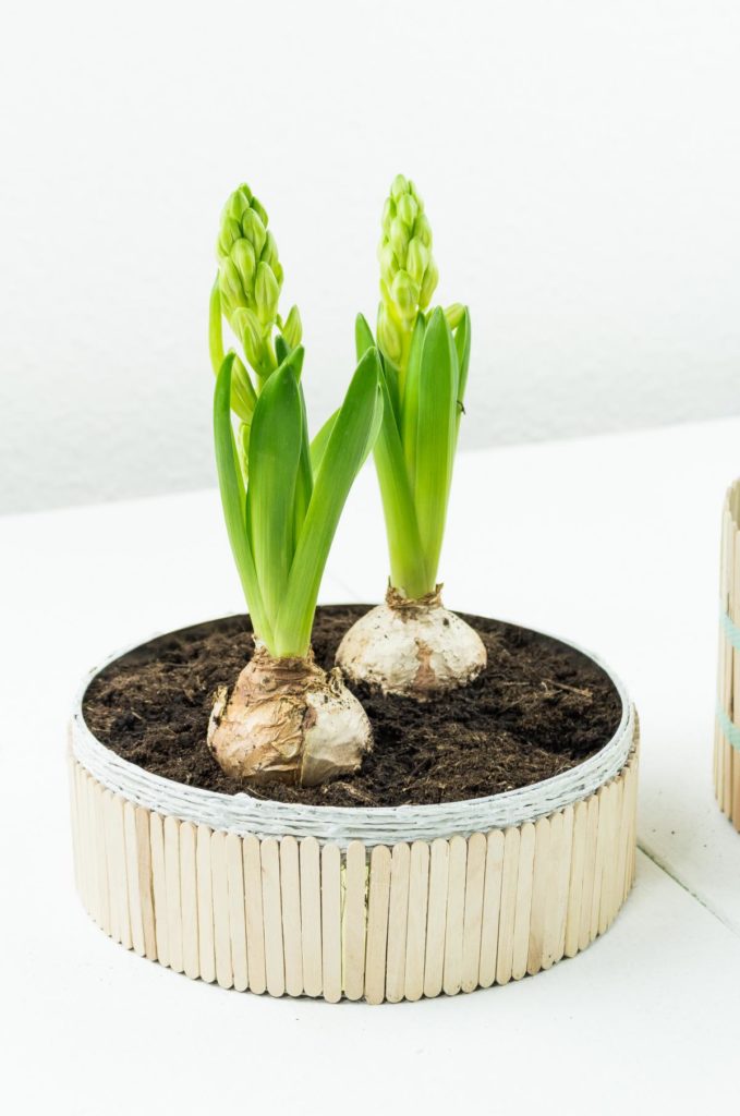 DIY Blumentöpfe selber machen - einfache und günstige Upcycling Idee, schöne Deko für den Frühling, aber auch ein tolles Geschenk zum Muttertag, Geburtstag