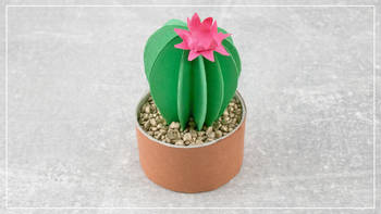 Kaktus aus Papier