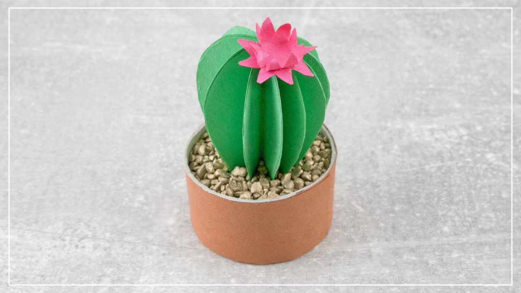DIY Kaktus aus Papier